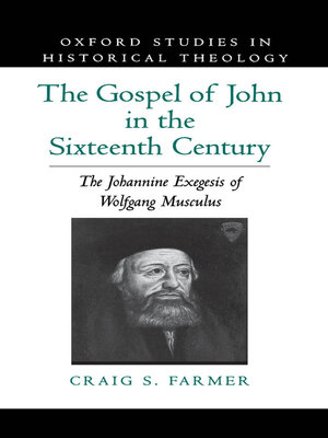 cover image of The Gospel of John in the Sixteenth Century